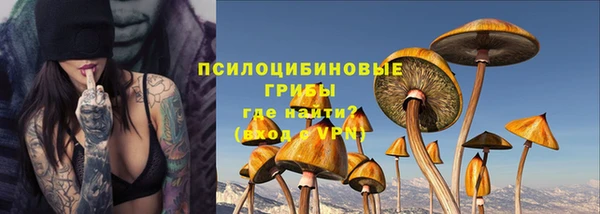 PSILOCYBIN Алексин
