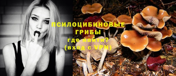 не бодяженный Алзамай