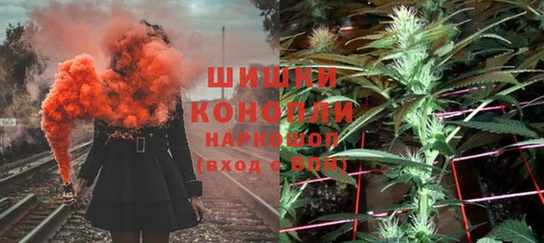 индика Кадников