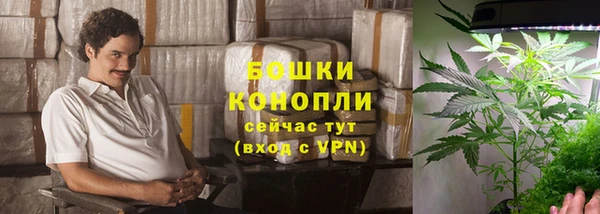 ешки Алексеевка
