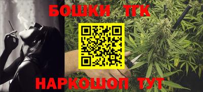 тгк Партизанск
