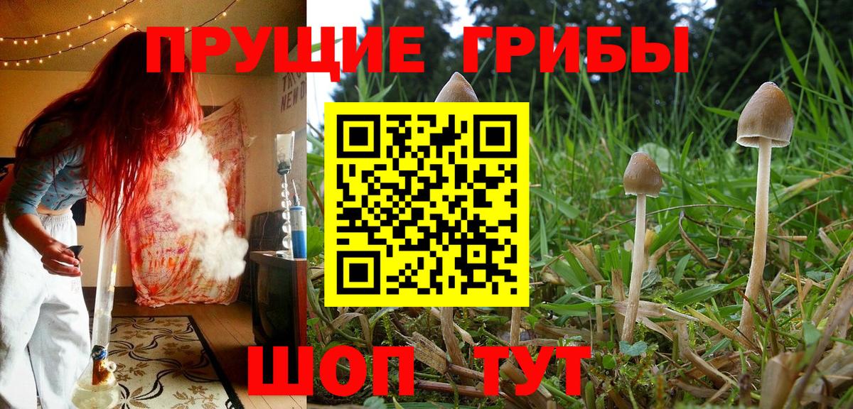 Псилоцибиновые грибы Magic Shrooms  Псилоцибиновые грибы ЛСД  Краснокамск  Вход с VPN 